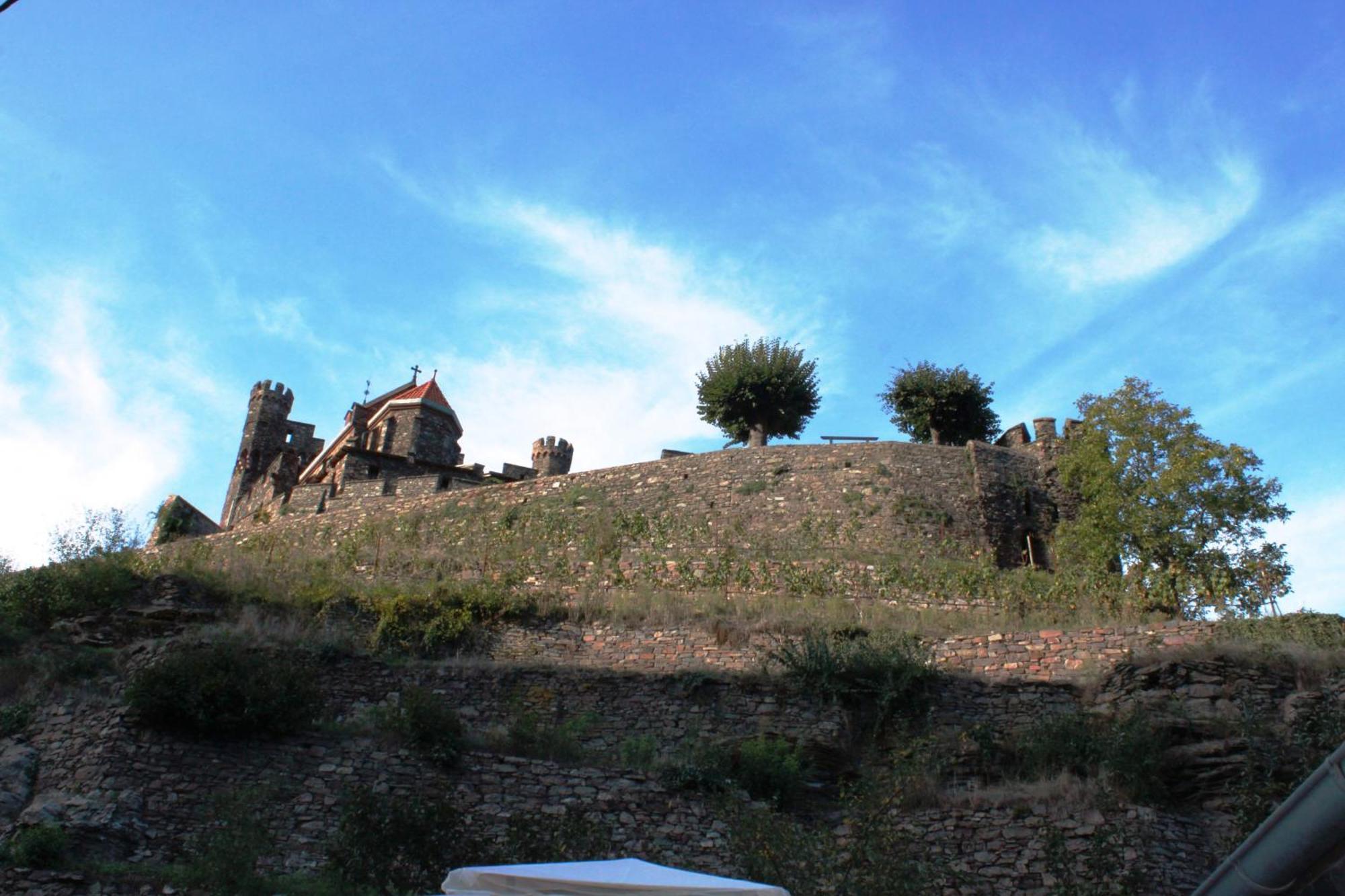 Ferienwohnung Im Morgenbachtal Trechtingshausen Εξωτερικό φωτογραφία