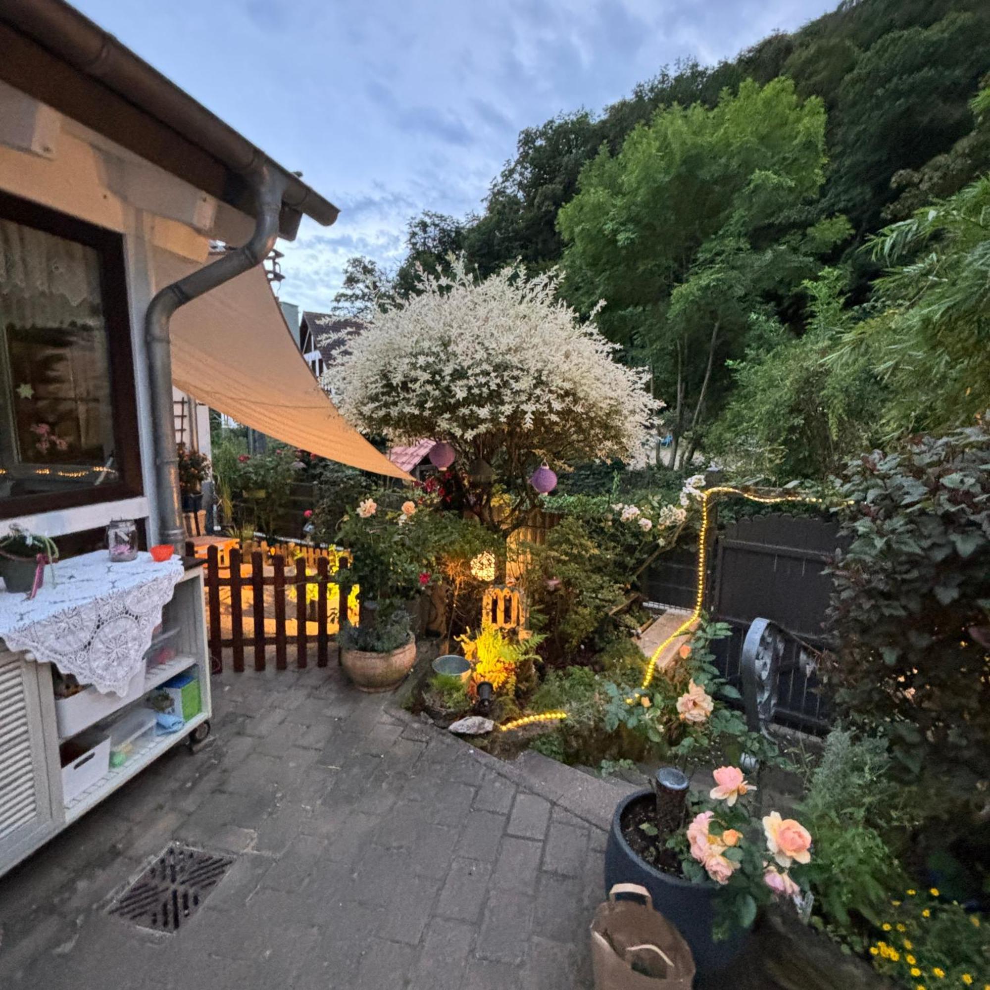 Ferienwohnung Im Morgenbachtal Trechtingshausen Εξωτερικό φωτογραφία