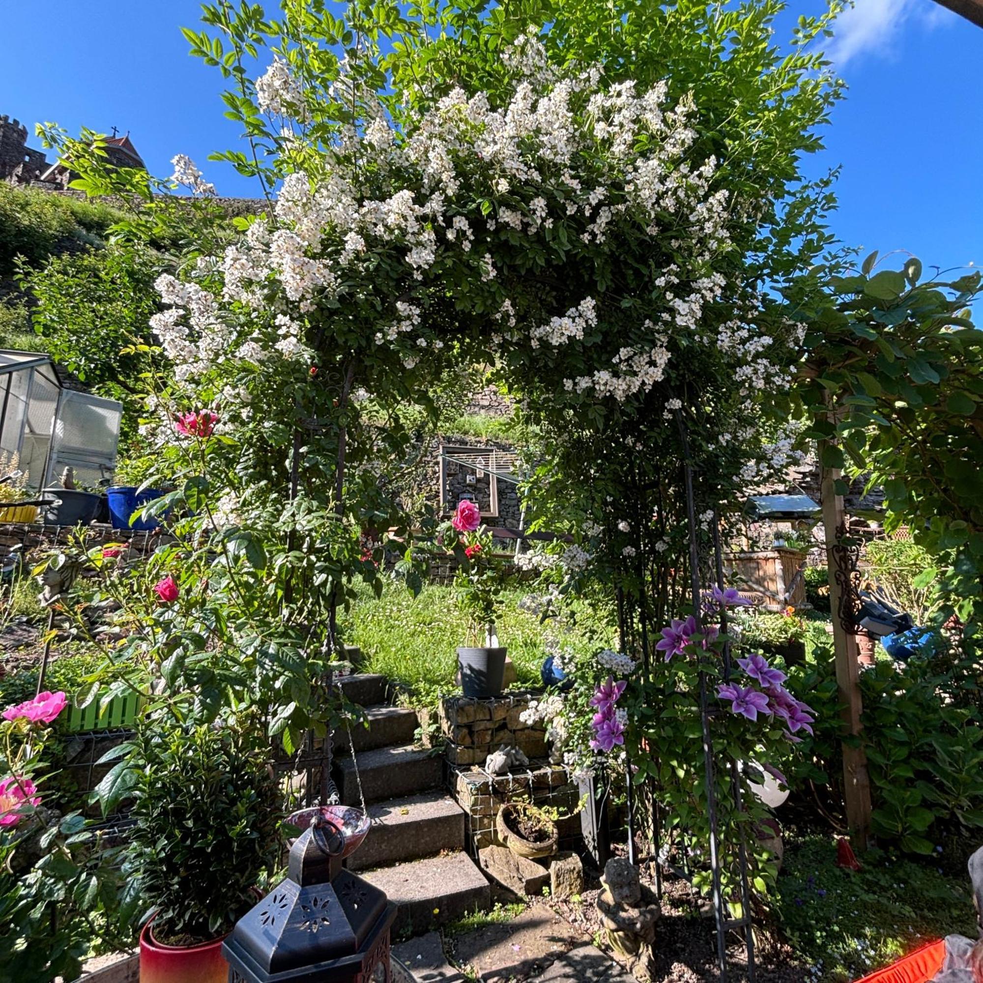 Ferienwohnung Im Morgenbachtal Trechtingshausen Εξωτερικό φωτογραφία