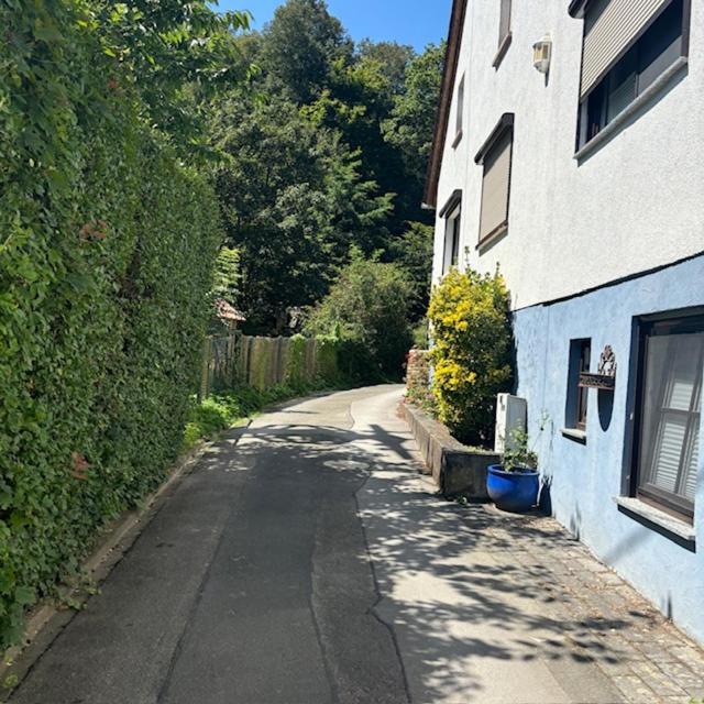 Ferienwohnung Im Morgenbachtal Trechtingshausen Εξωτερικό φωτογραφία