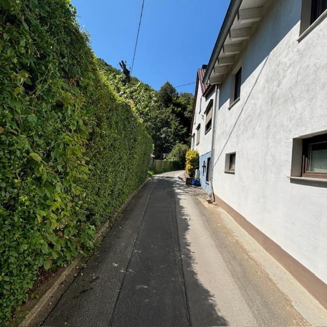 Ferienwohnung Im Morgenbachtal Trechtingshausen Εξωτερικό φωτογραφία